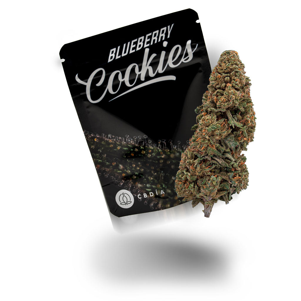 Blueberry Cookies Blüten