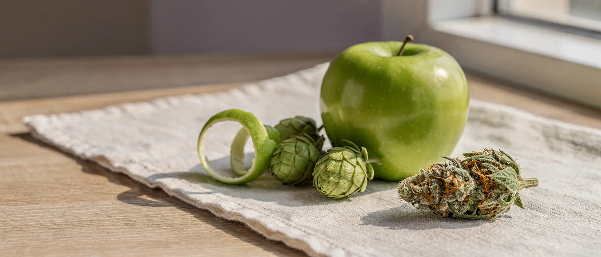 Grüner Apfel mit Schalenspirale und Hopfendolden neben einer getrockneten Hanfblüte