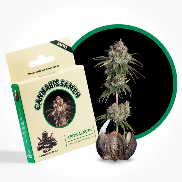 Eine Grafik zur Cannabis Sorte Critical Kush