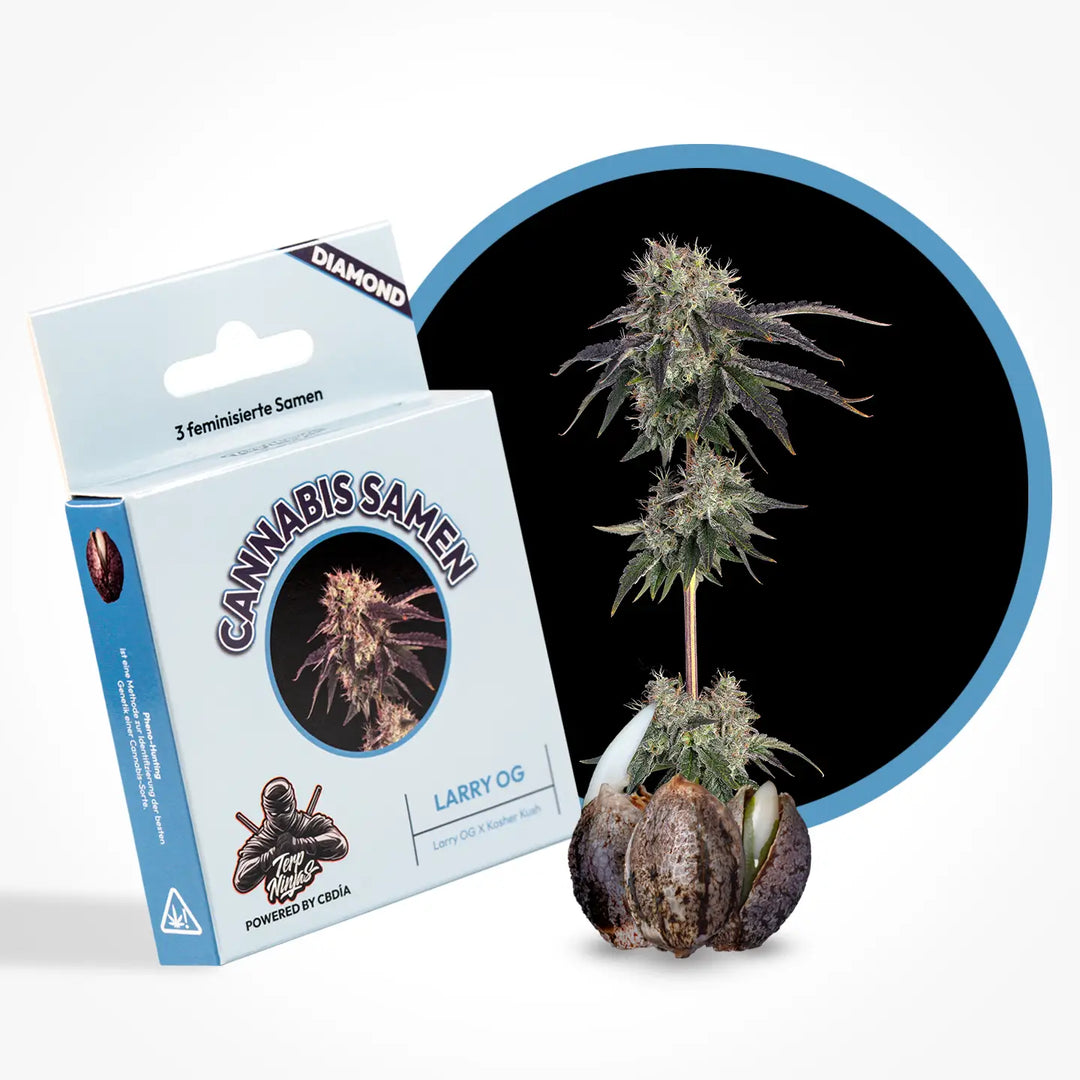 Eine Grafik zur Cannabis Sorte Larry OG