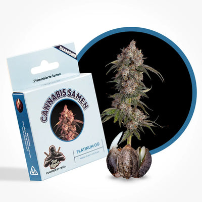 Semillas feminizadas Platinum OG
