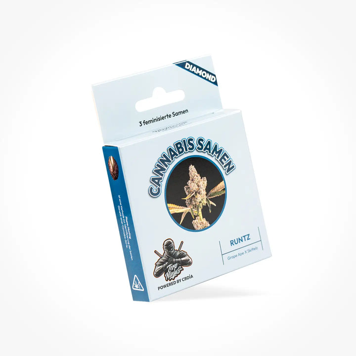 Eine Samen Verpackung der Sorte Runtz