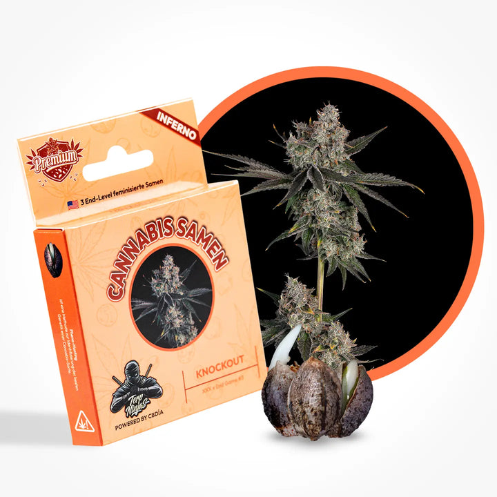 Eine Grafik zur Cannabis Sorte Knockout