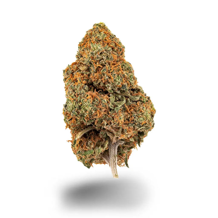 Eine Nahaufnahme der Sorte Orange Bud