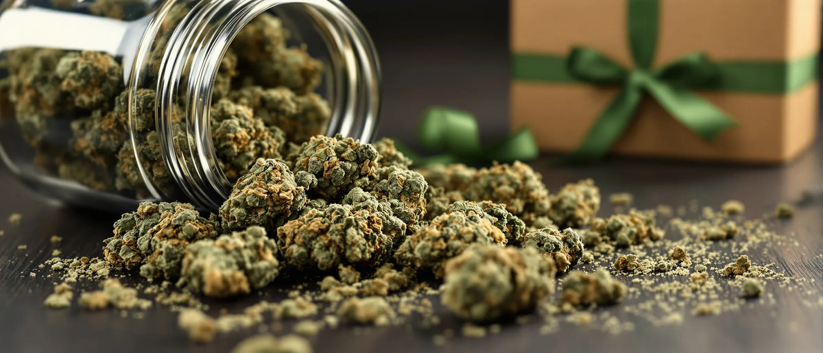Getrocknete Cannabisblüten aus Nutzhanf fallen aus einem Glas auf einen dunklen Holztisch, daneben eine Geschenkbox mit grüner Schleife