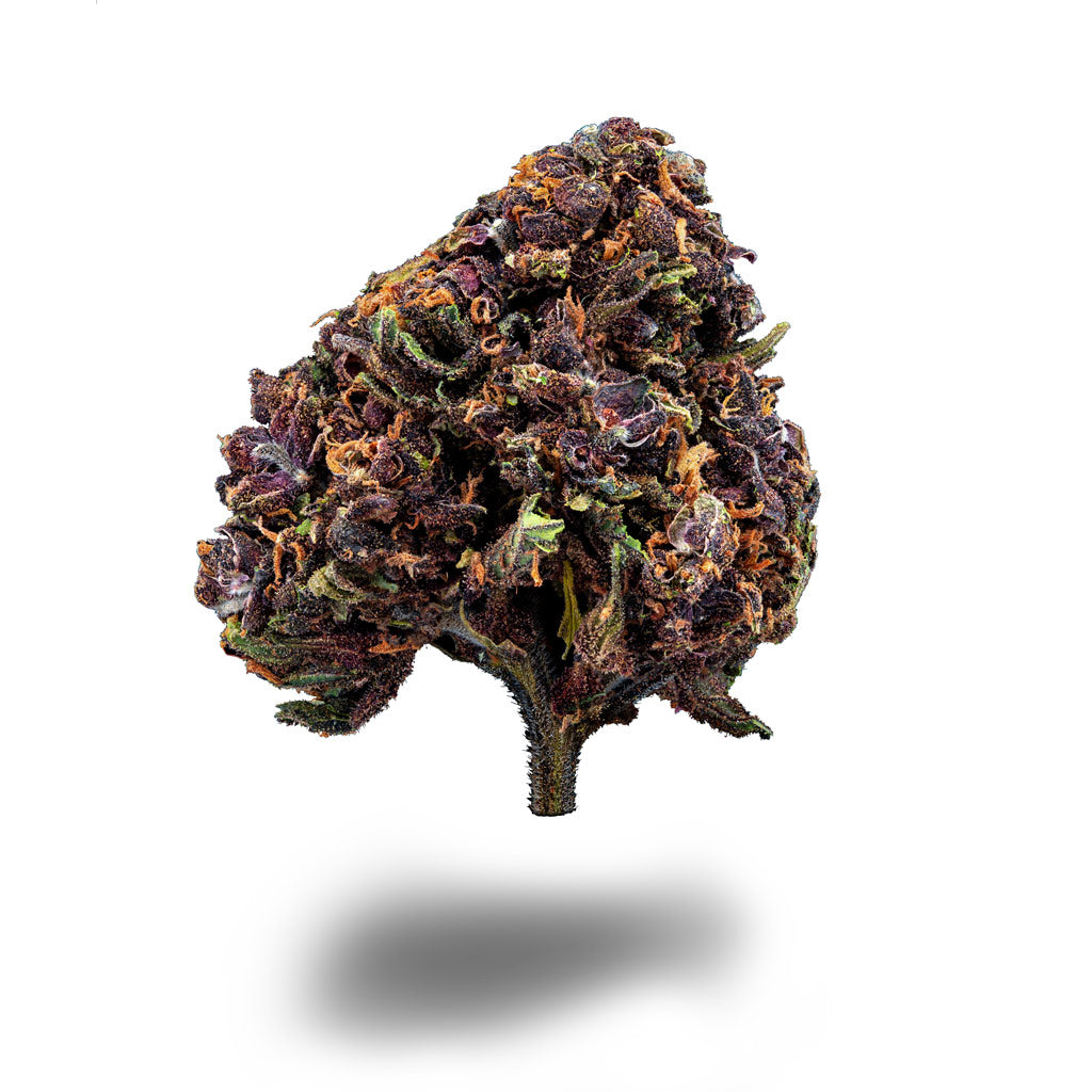 Blackberry Purple CBD Sorte
