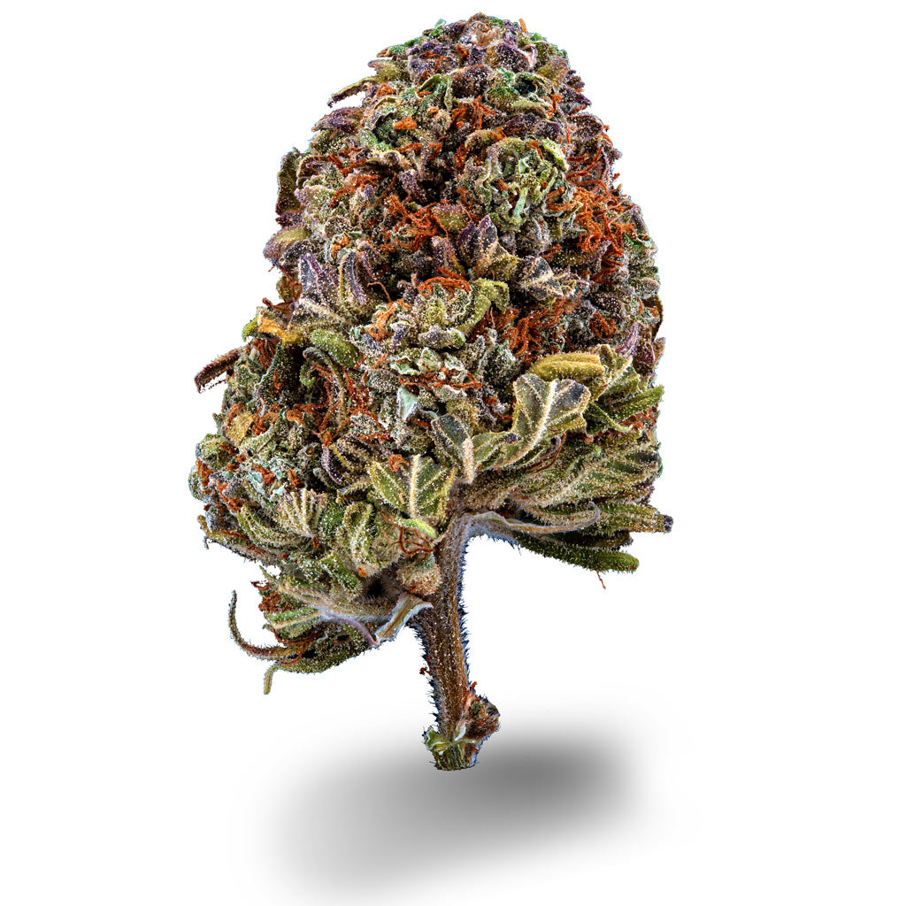 Cream Mandarin CBD Sorte