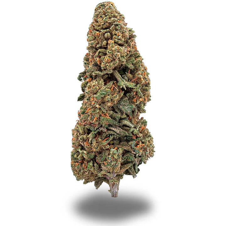 Blueberry Cookies CBD Sorte