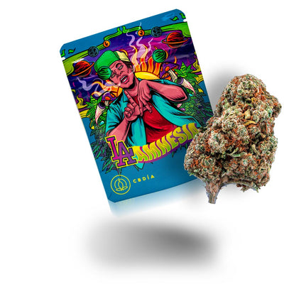 L.A. Amnesia