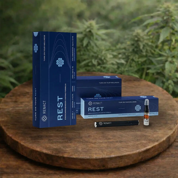 Renact CBD Vape Starterset Rest mit Vollspektrum Cannabinoiden